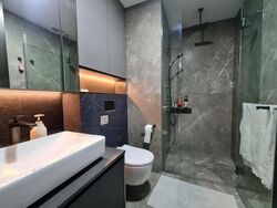 Irwell Hill Residences (D9), Apartment #460285431